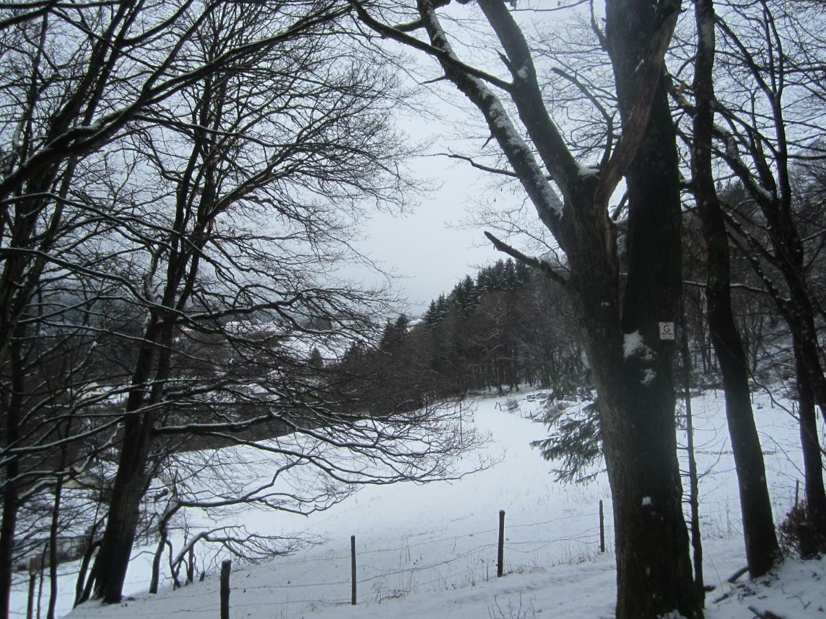 Ferienhaus Vulkaneifel Kopp ภายนอก รูปภาพ