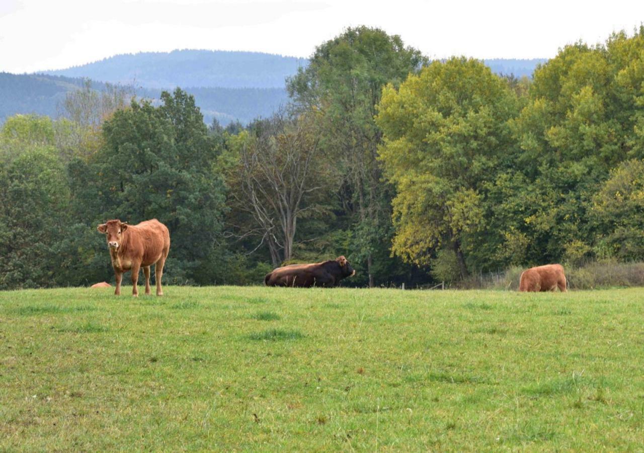 Ferienhaus Vulkaneifel Kopp ภายนอก รูปภาพ